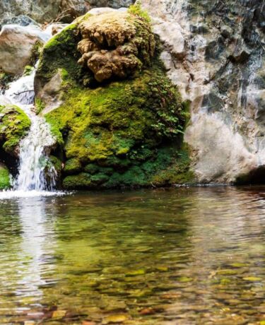 Richtis Gorge Waterfall