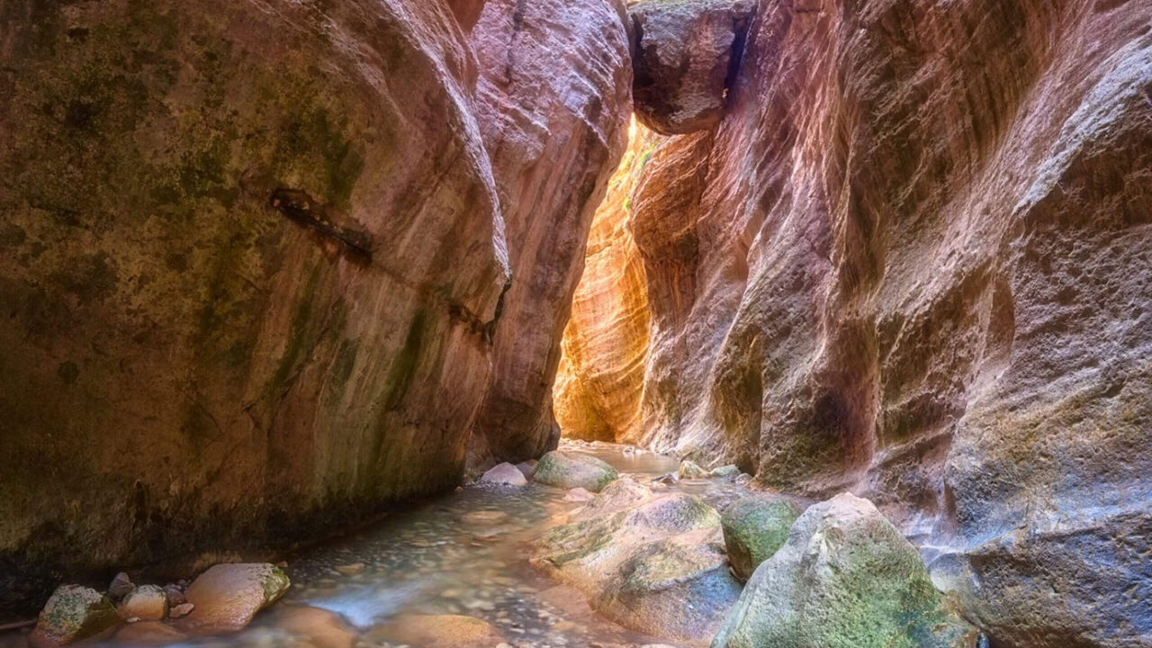 Winter Walks and Wild Trails: Discover Nature in Cyprus