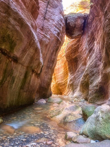 Canyon with stream in Cyprus
