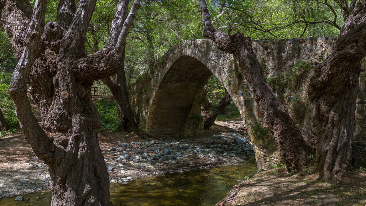 Discover Winter in Cyprus: Wine, Nature, and Outdoor Adventure