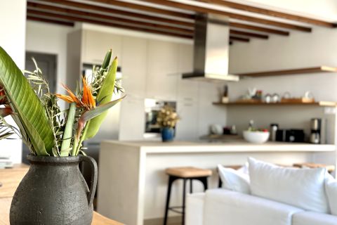 Lora Pearl Villa kitchen Protaras
