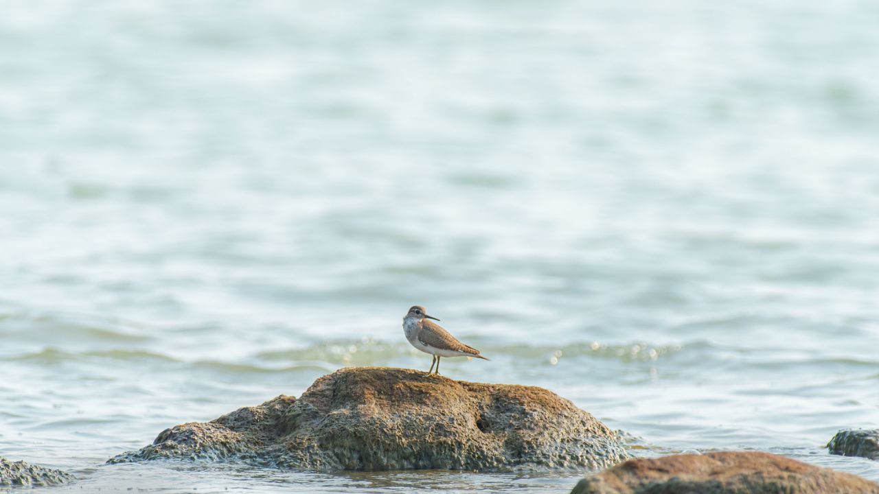 Sustainability at Louis Hotels: Travel with Purpose