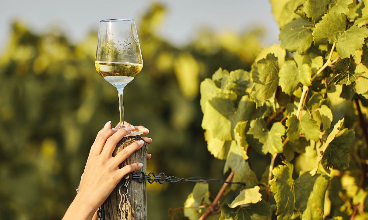 Taste of Tradition: Autumn Festivals in Cyprus You Can’t Miss This October