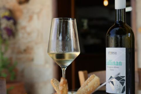 Winery Experience