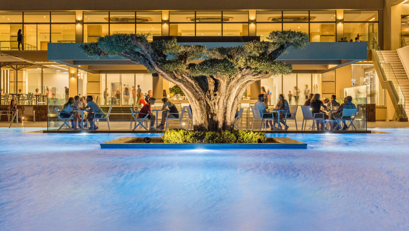 tree inside pool and tables with people poolside at Amada Colossos Resort