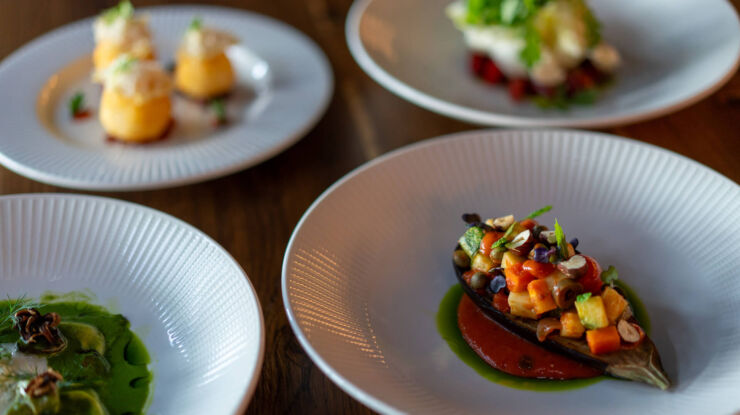 Modern appetizers plated in an elegant style