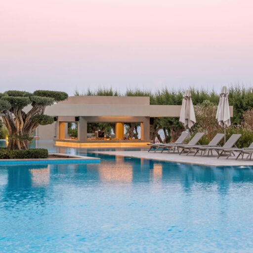 Tree inside pool and poolside bar with sunbeds at Amada Colossos Resort