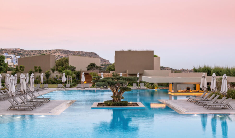 Tree inside pool and poolside bar with sunbeds at Amada Colossos Resort