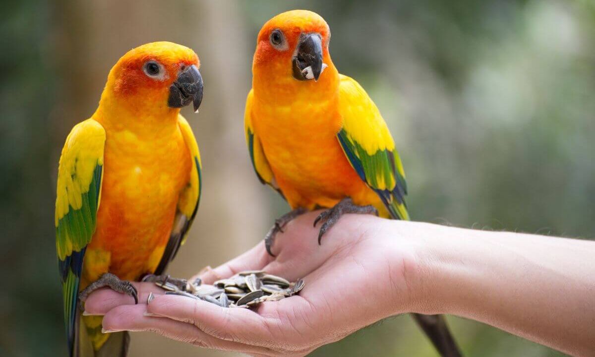 Family Activities in Cyprus: Animal Parks to Visit
