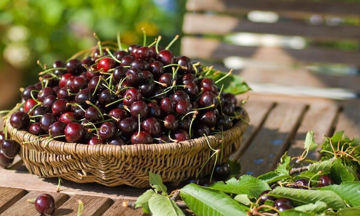 May and June Festivals in Cyprus You Shouldn’t Miss