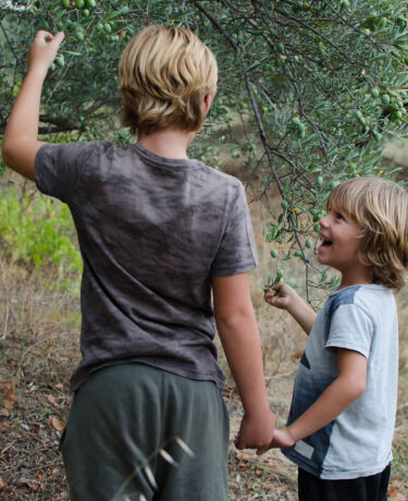Children oil tree