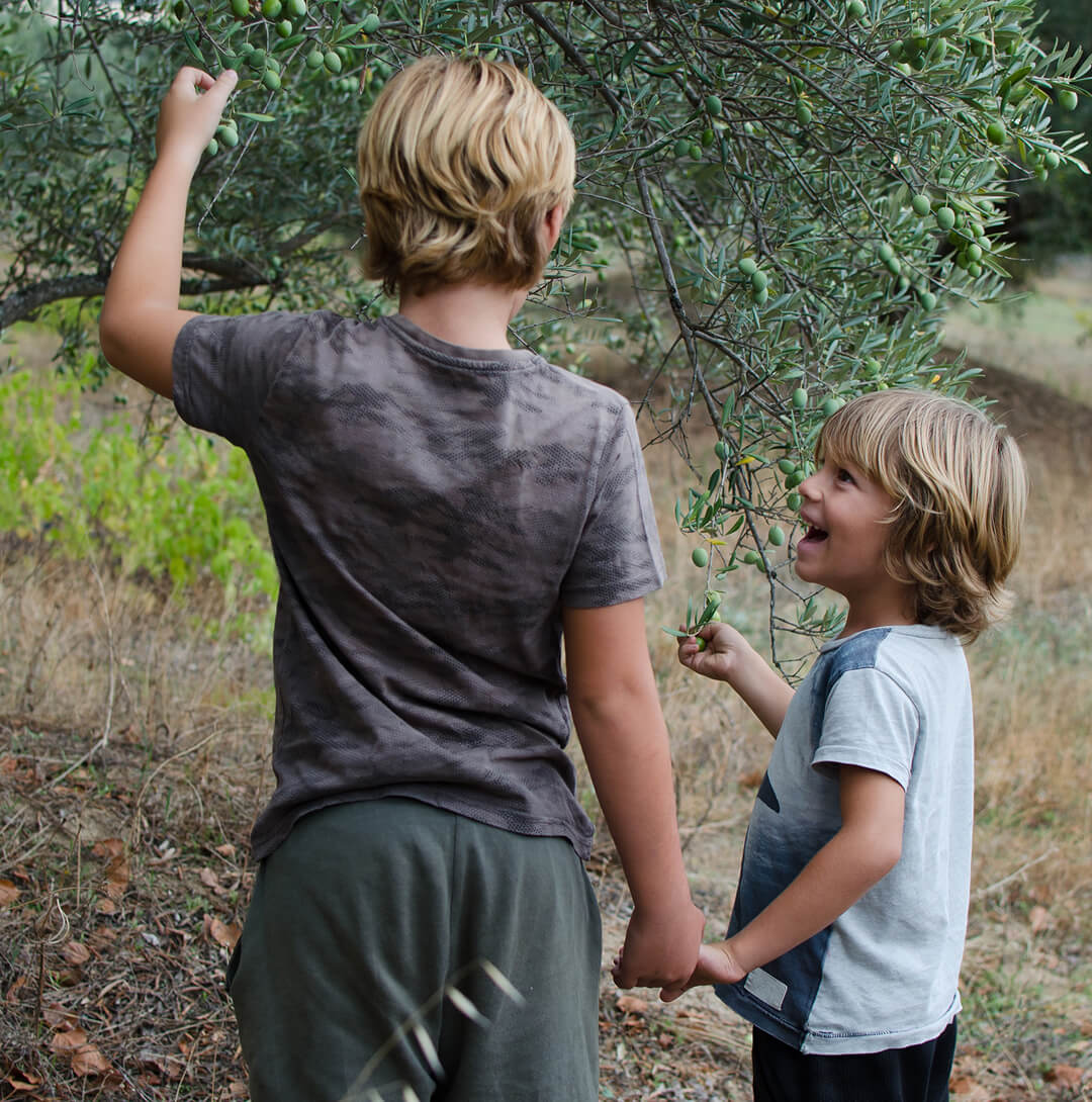 Children oil tree