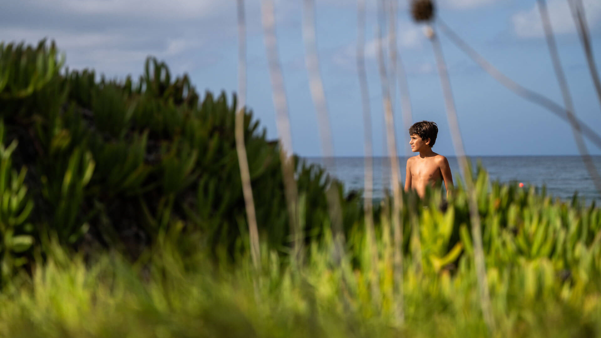 Kid standing between plants