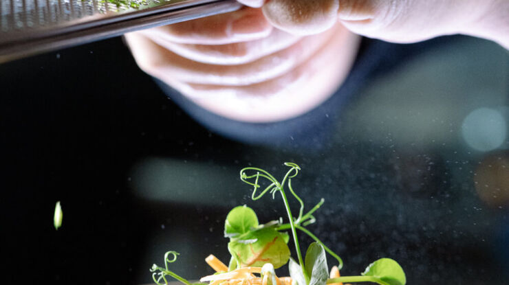chef plating dish at King Jason Zante restaurant