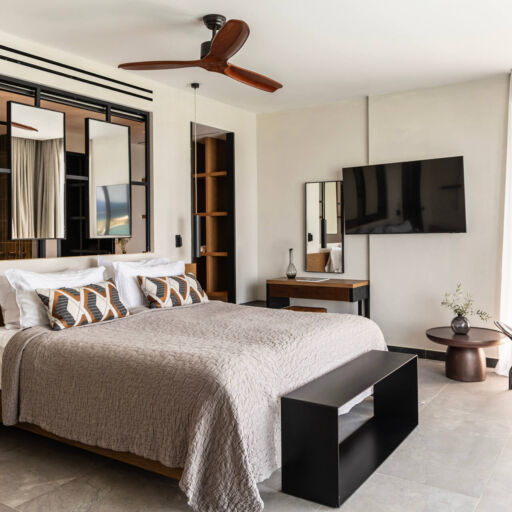 King Jason Zante room with chair and bright windows