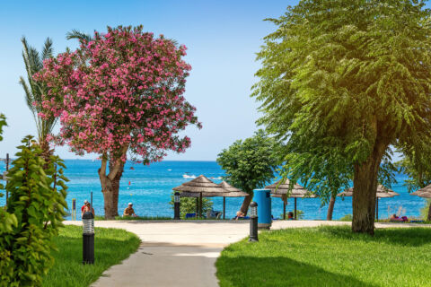 Garden and sea with umbrellas at Louis Nausicaa Beach