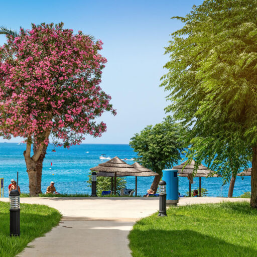 Garden and sea with umbrellas at Louis Nausicaa Beach