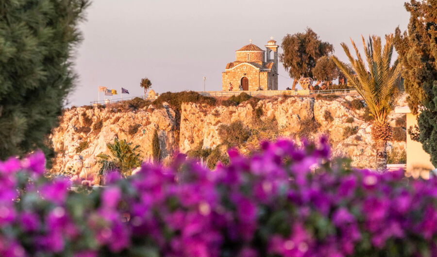 Flowers with Louis St Elias in the background