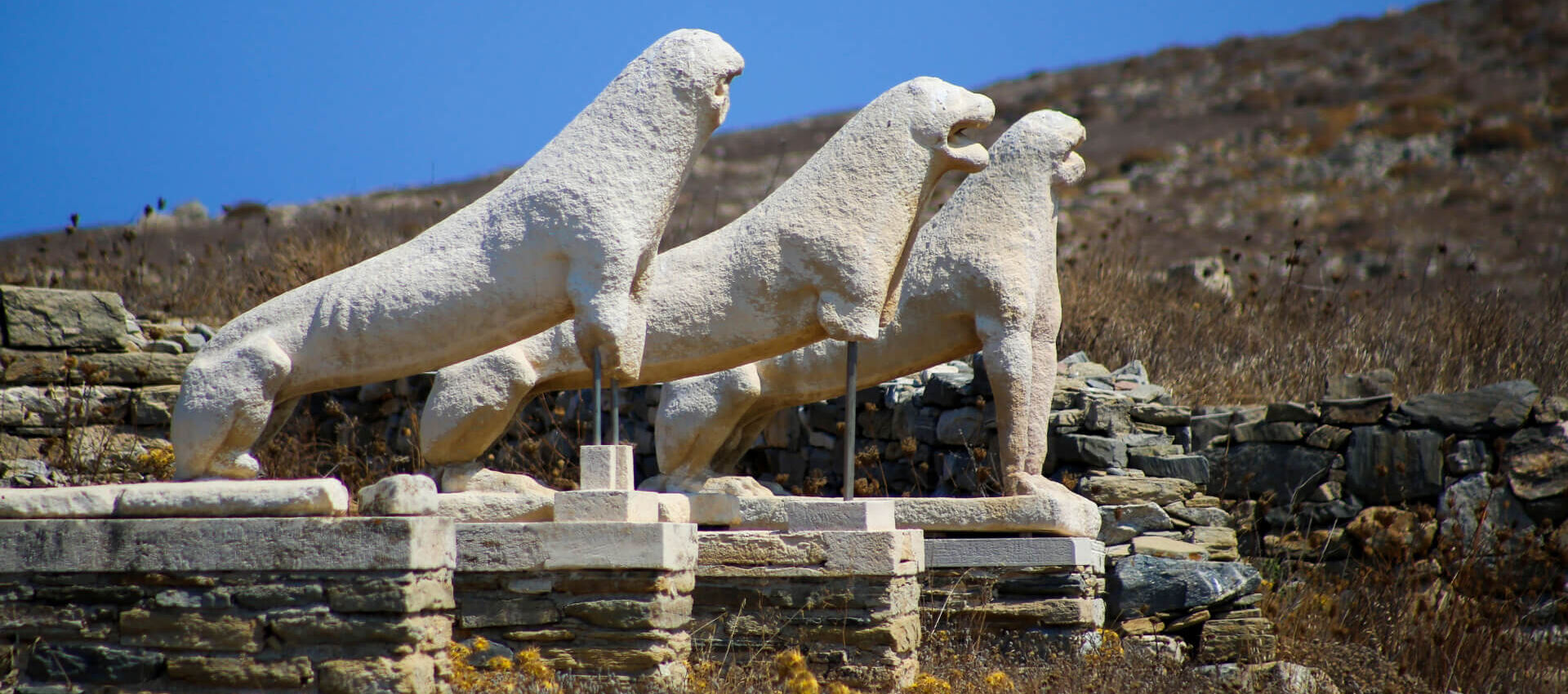 Mykonos Terrace of lions