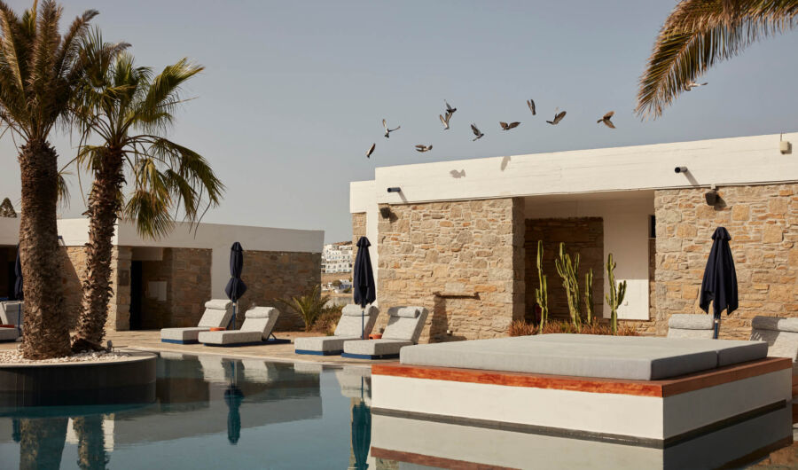 Mykonos Theoxenia pool with sunbeds and birds flying over