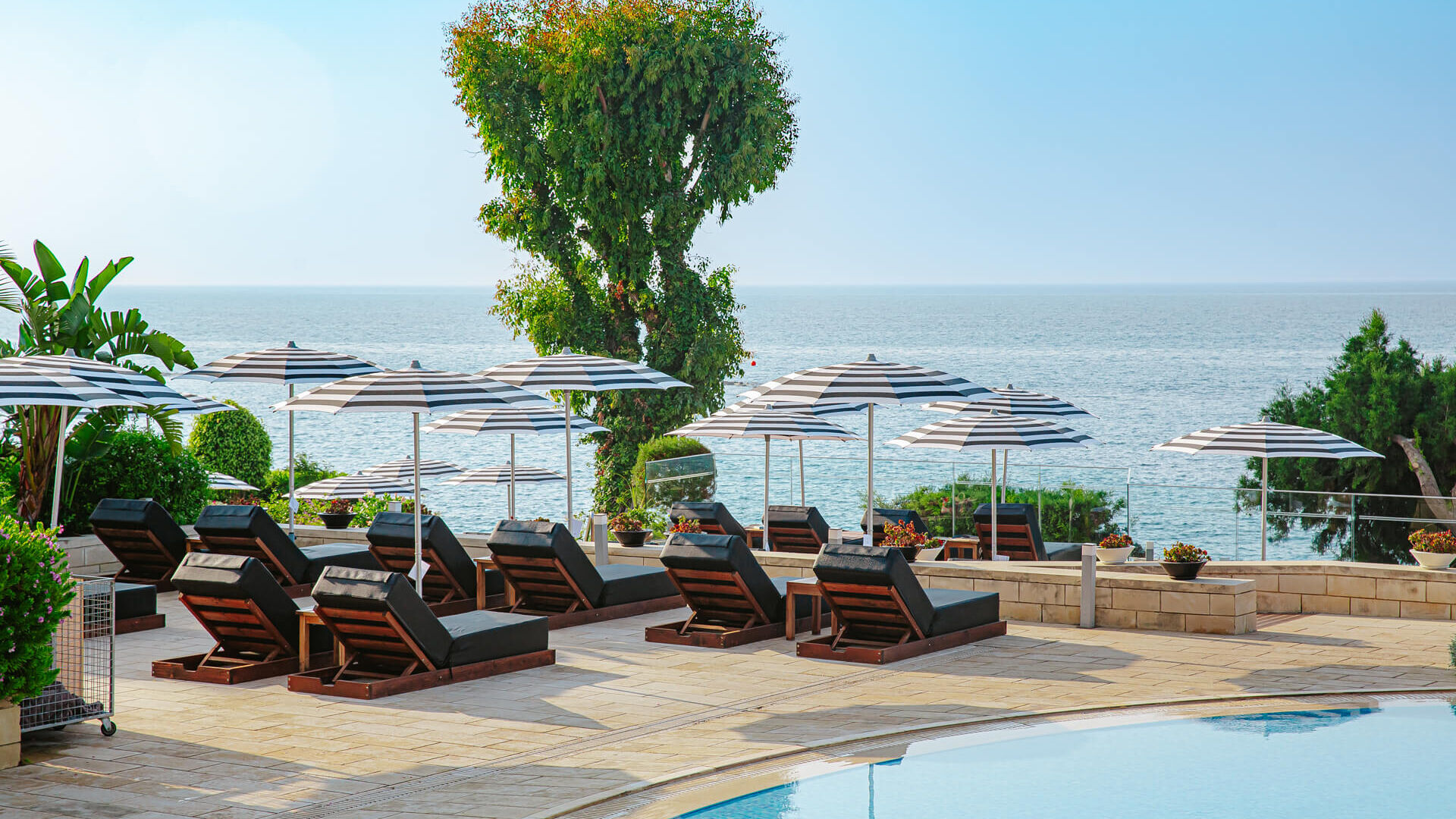 Pool and sunbeds at Royal Apollonia