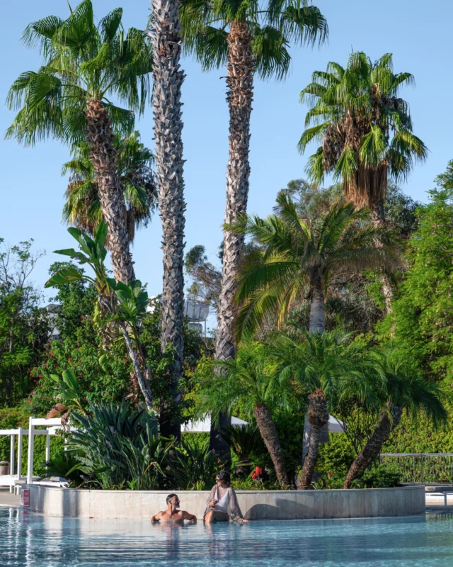 Sunlit waters, slow afternoons, and nowhere else to be.

At Hilton Nicosia, summer unfolds between poolside moments, quiet escapes beneath the palms, and conversations that last a little longer over drinks in the afternoon light.

A city stay with a resort state of mind.

Discover summer at @hiltonnicosia

#HiltonNicosia #HiltonHotels #HiltonMoments #Hilton #Nicosia #Cyprus