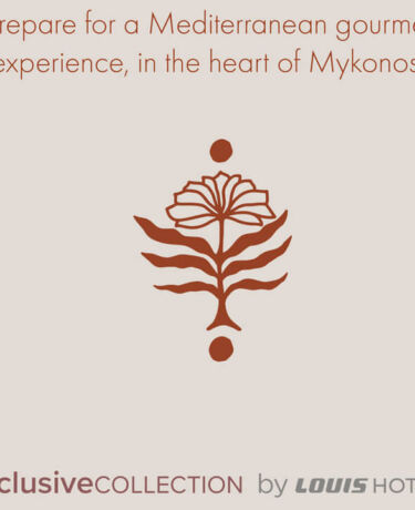 Gourmet Experience in Mykonos