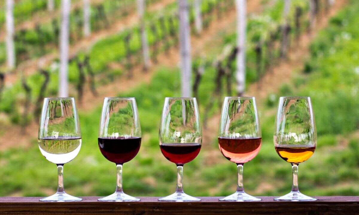 Discover the Wine Routes of Cyprus